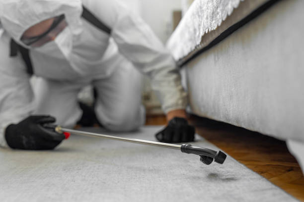 Professional Wasp Control technician working in Cherokee Village, AR