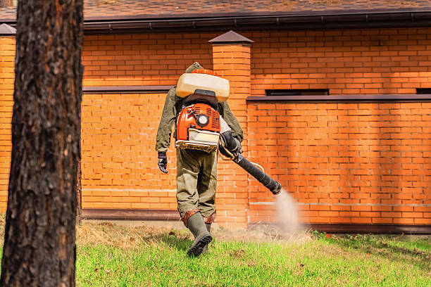 Trusted Fumigation Services service in Cherokee Village, AR - Nex Pest Control